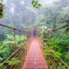 monteverde-cloud-forest-reserve